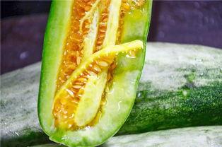 网红瓜都是谁吃的啊 第3张 网红瓜都是谁吃的啊 第3张